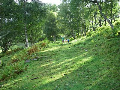 Drovers Road Strathconon