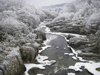 Frosty River Meig