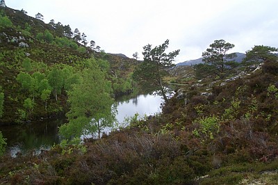 Lochan Near Curin