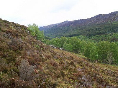 Strathconon View from East of the House