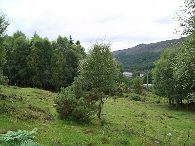 View from Rathad An Drobhair Holiday Cottage in Strathconon